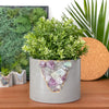 6" FLUORITE GEODE PLANTER
