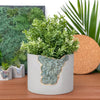 6" GREEN APATITE PLANTER