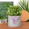 6" AMETHYST PLANTER