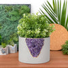 6 inch PLANTER AMETHYST