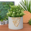 6 inch CITRINE PLANTER