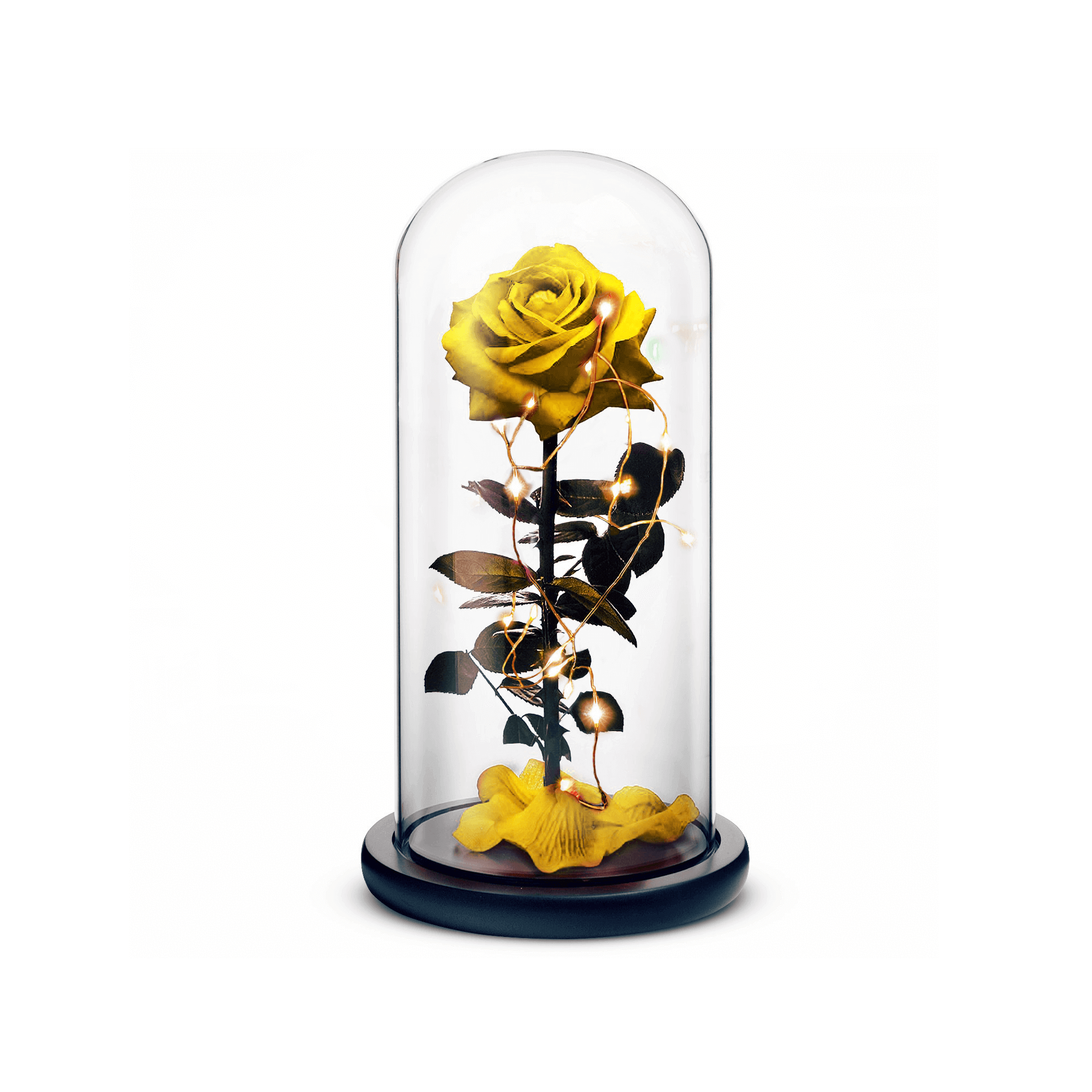 Beauty and The Beast Rose (Yellow)