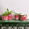 Rose Floral Cachepot Vase - Rose Pattern Planter Large Candle Holder