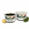 Lettuce Grow Kit