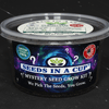 Mystery Plant Grow Kit - Surprise Plant Seeds In A Cup for Your Curated Horticultural Experience.