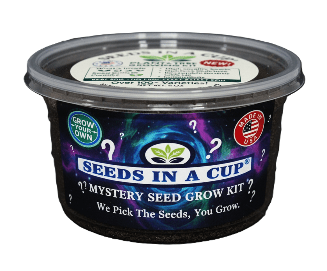 plant a seed in a cup Mystery Plant Grow Kit