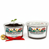 Oregano Grow Kit