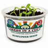 Sunflower Grow Kit