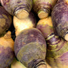 1500 American PURPLE TOP RUTABAGA Brassica Napus Root Vegetable & Greens Seeds