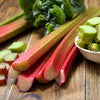 25 GLASKINS PERPETUAL RHUBARB (Pieplant) Rheum Rhabarbarum Fruit Vegetable Seeds