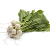 300 WHITE EGG TURNIP Brassica Rapa Vegetable Seeds