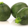 50 ROUND ZUCCHINI Summer SQUASH Cucurbita Pepo Vegetable Seeds
