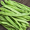 Romano Bush Bean Seeds – Italian Flat Green Pod Phaseolus Vulgaris Vegetable – photo 4