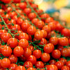 Red Sweetie Cherry Tomato Seeds – Super Sweet 1" Lycopersicon Fruit Vegetable – photo 2