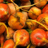 30 BURPEE'S GOLDEN BEET Beta Vulgaris Yellow Root Vegetable Seeds