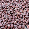 5 JOJOBA Simmondsia Chinensis Fruit Nut Oil Evergreen Shrub Seeds