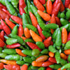 30 BIRDS Eye CHILI PEPPER (Chiltepin Pepper) Capsicum Frutescens Vegetable Seeds