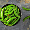 Sugar Ann Pea Seeds – Stringless Sweet Green Snap Pisum Sativum Vegetable – photo 11