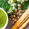 10 Flowering DRUMSTICK TREE Moringa Oleifera Seeds (Miracle Tree / Ben Oil Tree)