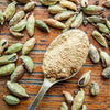 5 CARDAMON CARDAMOM Elettaria Cardamomum HERB Flower Shrub Tree Seeds