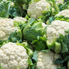 250 SNOWBALL SELFBLANCHING CAULIFLOWER White Brassica Oleracea Vegetable Seeds