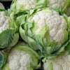 250 SNOWBALL CAULIFLOWER Brassica Oleracea Botrytis Vegetable Seeds