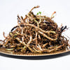 25 WILD GINGER Asarum Canadense Canadian Heart Snakeroot Flower Herb Seeds