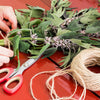 50 MOTHERWORT (Lions Tail / Heartwort) Leonurus Cardiaca Herb Flower Seeds