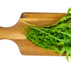1000 GREEN MIZUNA MUSTARD Japanese Greens Brassica Juncea Herb Vegetable Seeds