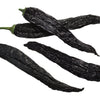 Pasilla Bajio Pepper Seeds – Mexican Chile Negro Capsicum Annuum Vegetable – photo 5