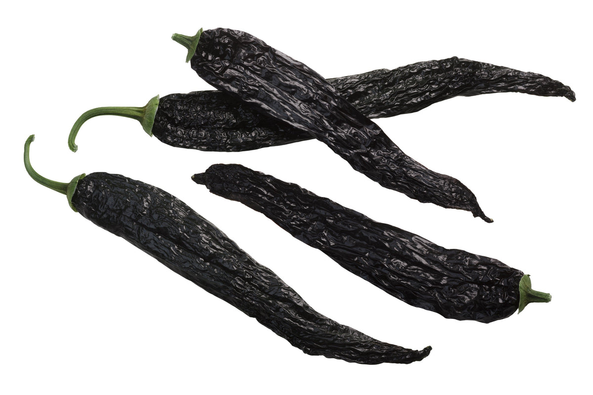 Pasilla Bajio Pepper Seeds – Mexican Chile Negro Capsicum Annuum Vegetable – photo 5