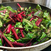 300 RHUBARB RED SWISS CHARD Perpetual Spinach Beta Vulgaris Vegetable Seeds