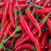 300 LONG Red CAYENNE PEPPER Hot Capsicum Annuum Vegetable Seeds