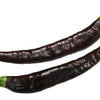 Pasilla Bajio Pepper Seeds (Capsicum annuum)