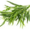 100 TARRAGON -  Kitchen / Common / Dragons Wort - Artemisia Dracunculus Flower Culinary Herb Seeds
