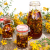 Great Saint Johns Wort Seeds – St John's Hypericum Pyramidatum Yellow Flower Herb' – photo 10