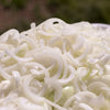 250 ECLIPSE ONION White Sweet Allium Cepa Vegetable Seeds
