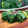150 RAINBOW MIX SWISS CHARD Mixed Colors Beta Vulgaris Vegetable Seeds