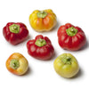 25 ALMA PAPRIKA PEPPER White Orange Red Hungarian Cherry Capsicum Annuum Seeds