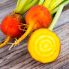 30 BURPEE'S GOLDEN BEET Beta Vulgaris Yellow Root Vegetable Seeds