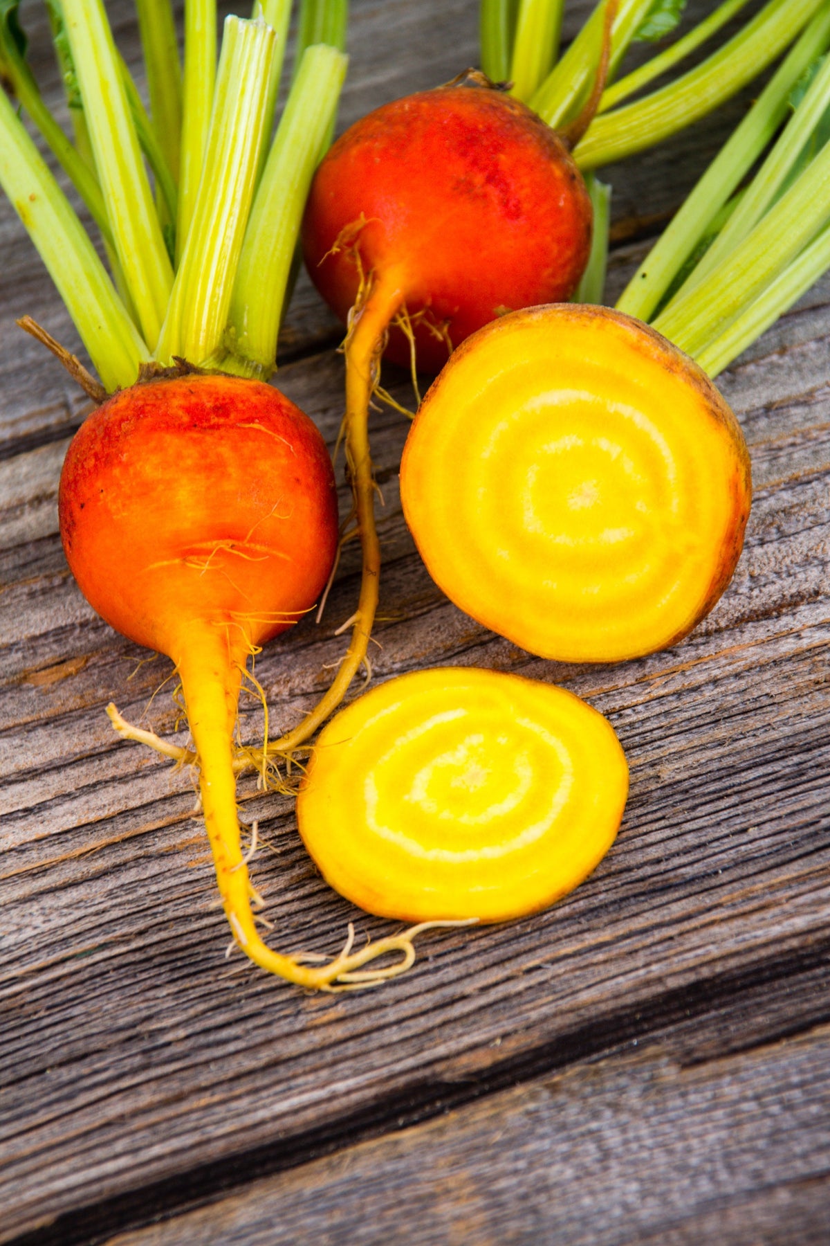 Burpee's Golden Beet Seeds' – Beta Vulgaris Yellow Root Vegetable