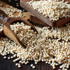 75 WHITE POPPING SORGHUM Bicolor Snack Vegetable Flour Grain Seeds