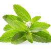 50 STEVIA ( Sweetleaf / Sweet Leaf / Sugarleaf ) Stevia Rebaudiana Sugar Flower Herb Seeds