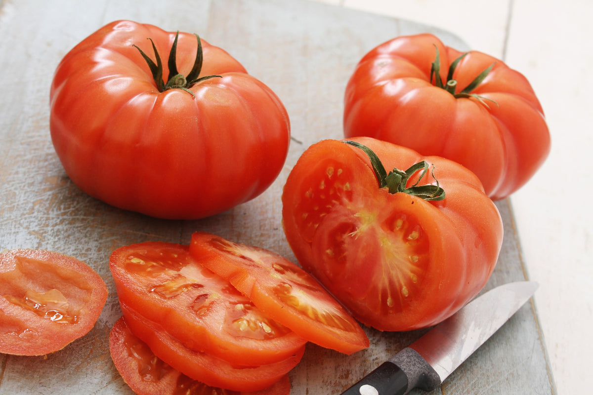 Beefsteak Tomato Seeds – Lycopersicon Lycopersicum Fruit Vegetable – photo 7