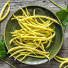 50 ' SLENDERWAX ' WAX BEAN Golden Yellow Bush Phaseolus Vulgaris Vegetable Seeds