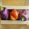 100 LILAC BELL PEPPER Capsicum Annuum Sweet Mild Purple Vegetable Seeds