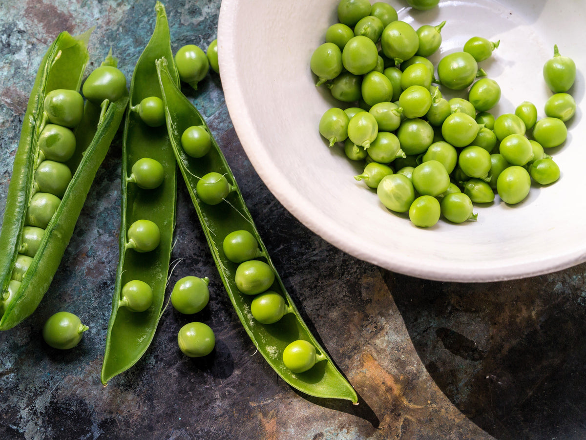 Early Frosty Garden Pea Seeds – English Shelling Pisum Sativum Vegetable – photo 6