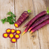 400 COSMIC PURPLE CARROT Daucus Carota Vegetable Seeds