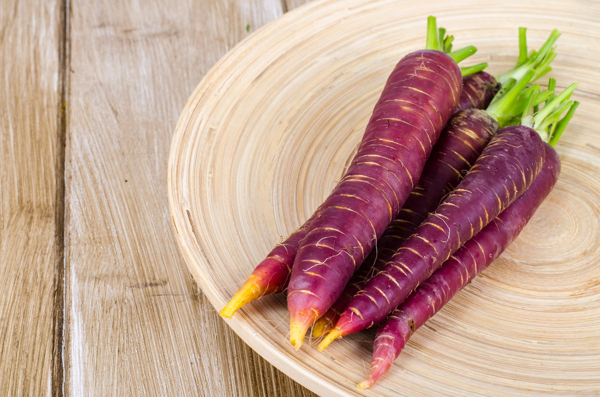 Cosmic Purple Carrot Seeds – Daucus Carota Vegetable – photo 4