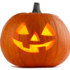 Jack O Lantern Pumpkin Cucurbita Maxima Vegetable Seeds – photo 3